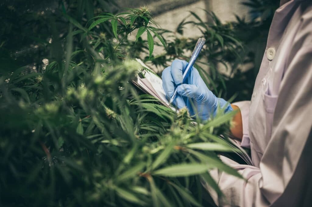 CBD, Brain Development and Your Mental Health - True Hemp Science