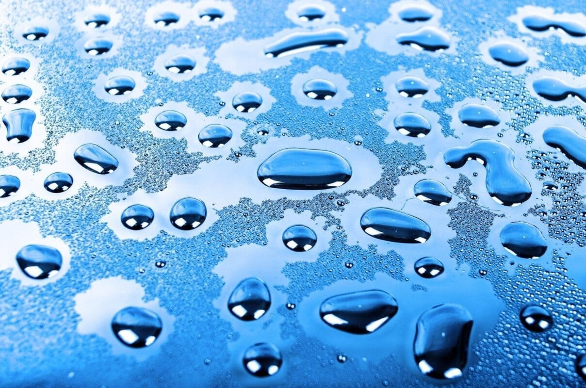 Is Water Soluble CBD Better? A Scientific Look at Absorption and Bioavailability - True Hemp Science