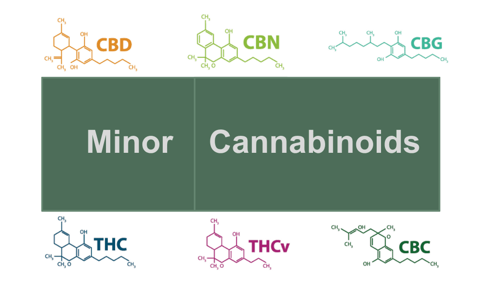 Minor Cannabinoids: Understanding the Compounds Beyond CBD and THC - True Hemp Science